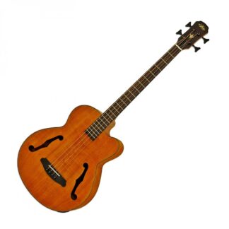 Aria FEB-F2M Medium Scale Bass Stained Brown
