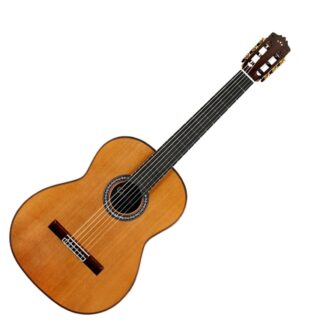 Cordoba C10 Cedar